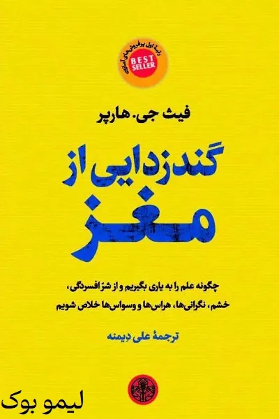 دانلود کتاب گندزدایی از مغز - لیمو بوک