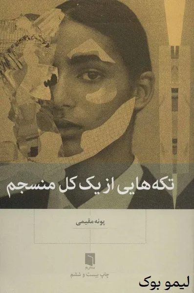دانلود کتاب تکه هایی از یک کل منسجم - لیمو بوک