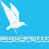 دانلود کتاب جاناتان مرغ دریایی - لیمو بوک
